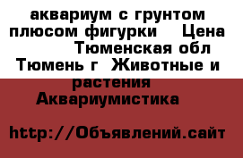 аквариум с грунтом плюсом фигурки  › Цена ­ 2 000 - Тюменская обл., Тюмень г. Животные и растения » Аквариумистика   